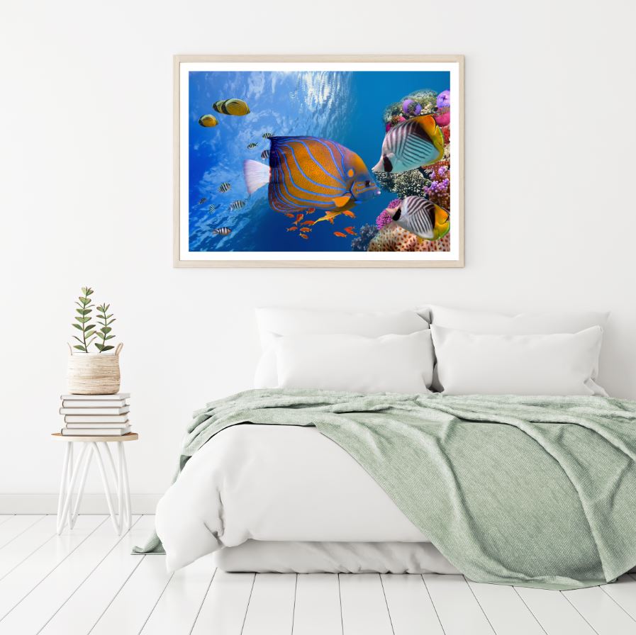 Fish Under Sea Scenery Photograph Home Decor Premium Quality Poster Print Choose Your Sizes