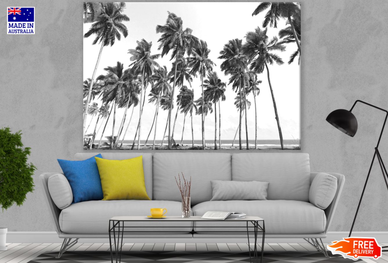 Palm Trees B&W Photograph Print 100% Australian Made