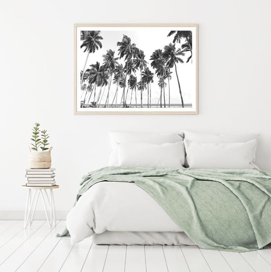 Palm Trees B&W Photograph Home Decor Premium Quality Poster Print Choose Your Sizes