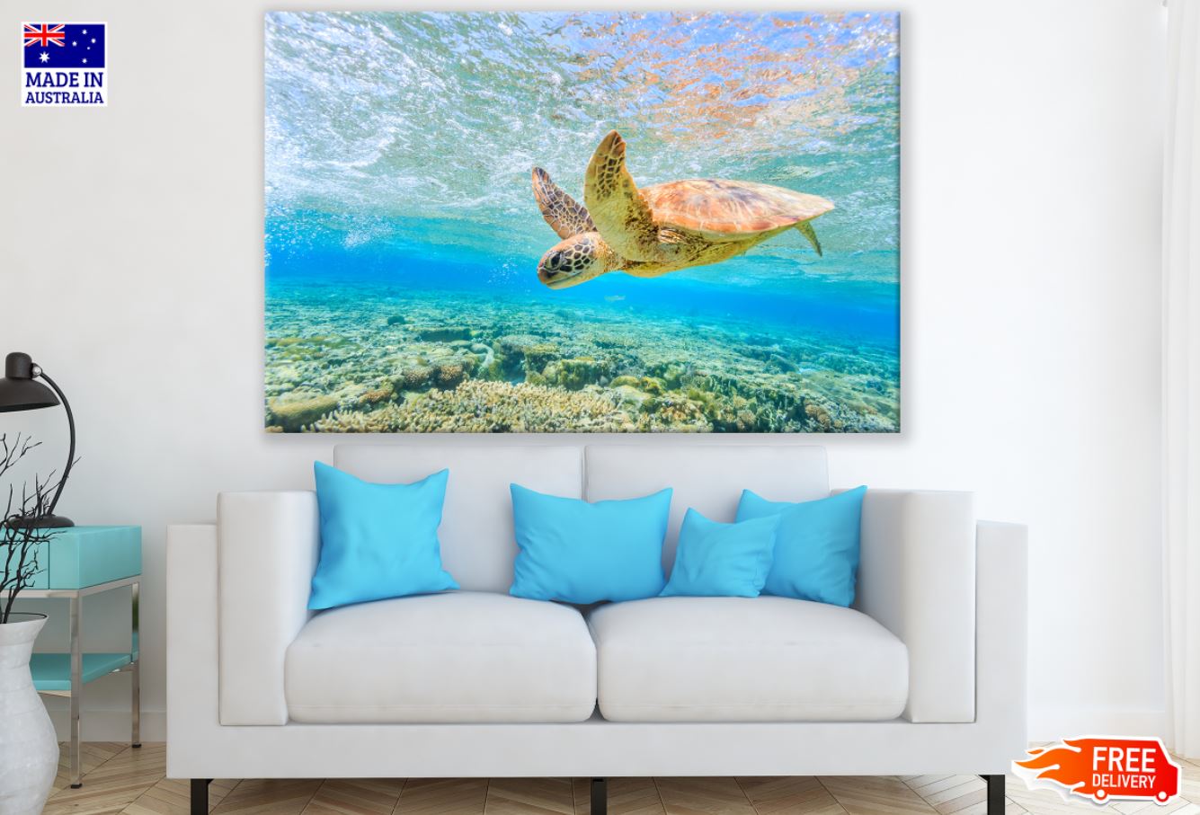 Turtle in Sea Photograph Print 100% Australian Made