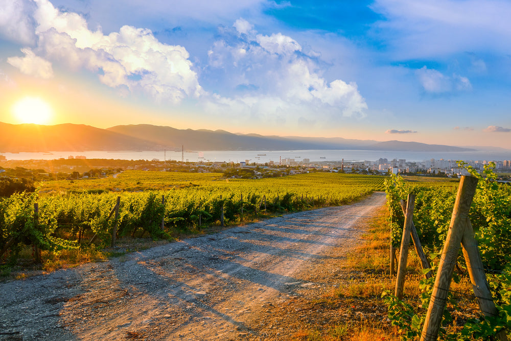 Sunrise Landscape Panoramic view Photograph Print 100% Australian Made