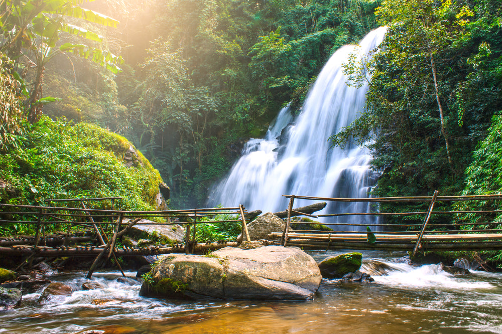 Stunning Waterfall with Wooden Bridge Print 100% Australian Made