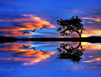 Tree, Bird Reflection on Lake Sunset Photograph Print 100% Australian Made