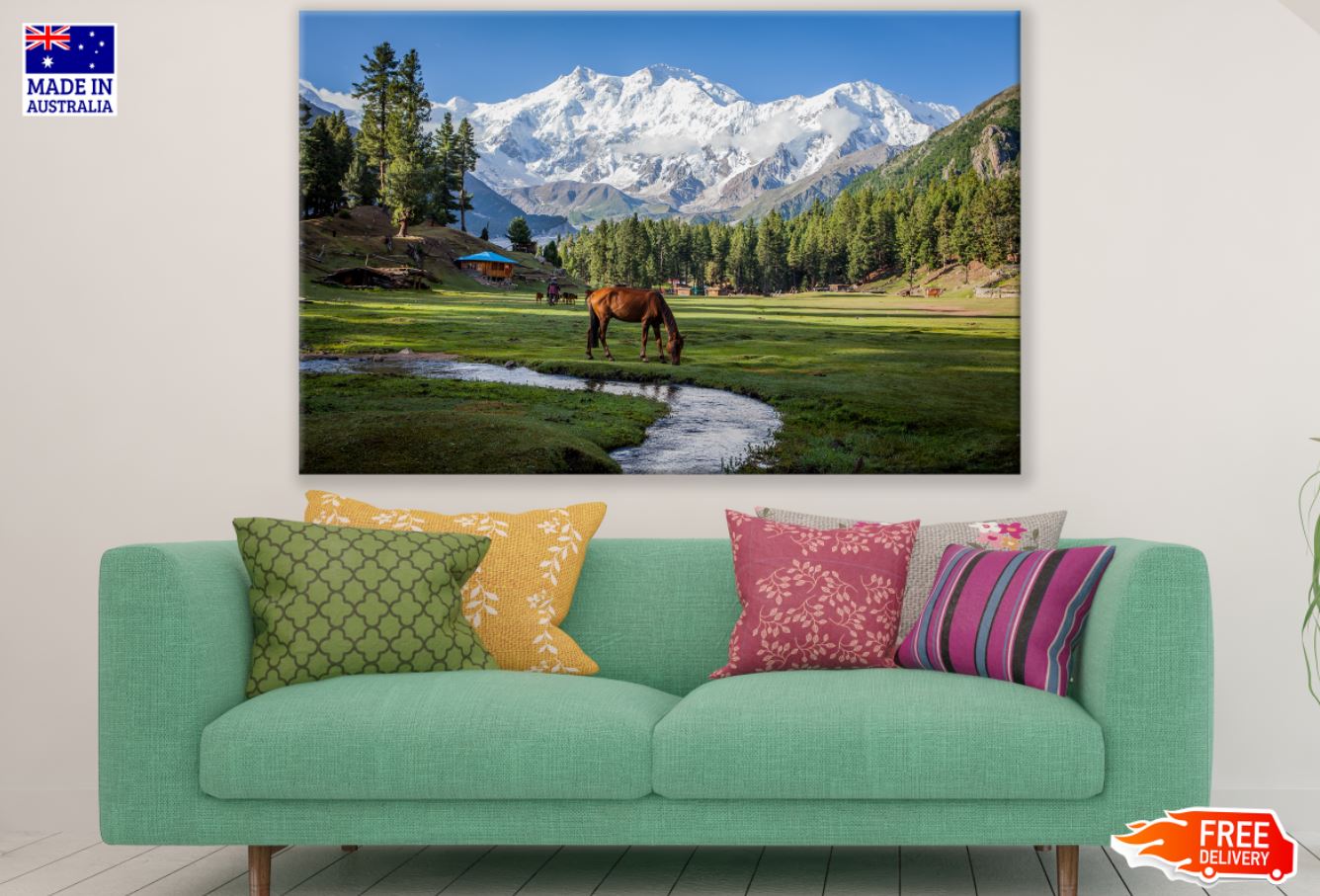 Horse on Meadow Photograph Print 100% Australian Made