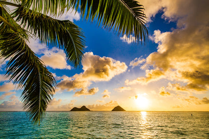 Beach Sunset Coconut Tree And Far Island Photograph Print 100% Australian Made