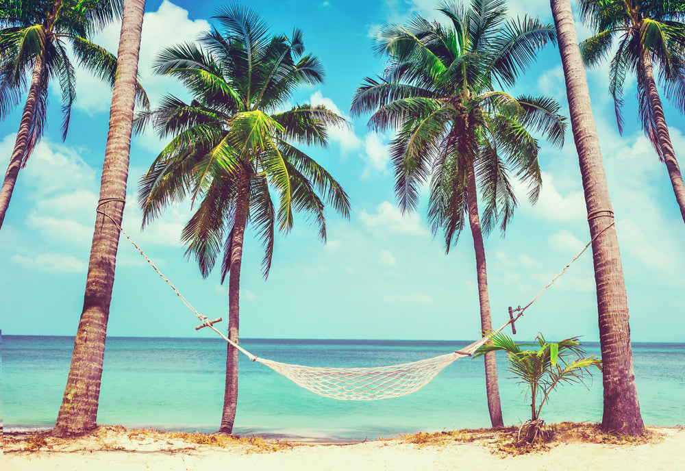 Hammock Between Two Palm Trees on the Beach Photograph Print 100% Australian Made