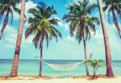 Hammock Between Two Palm Trees on the Beach Photograph Print 100% Australian Made