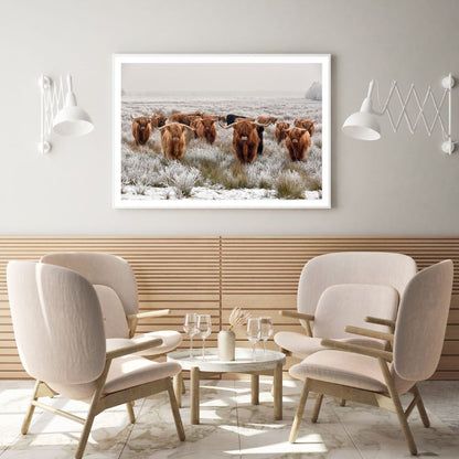 Highland Cow Herd Photograph Home Decor Premium Quality Poster Print Choose Your Sizes