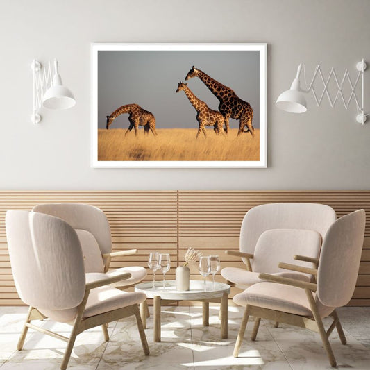 Giraffes in Grass Field Scenery Home Decor Premium Quality Poster Print Choose Your Sizes