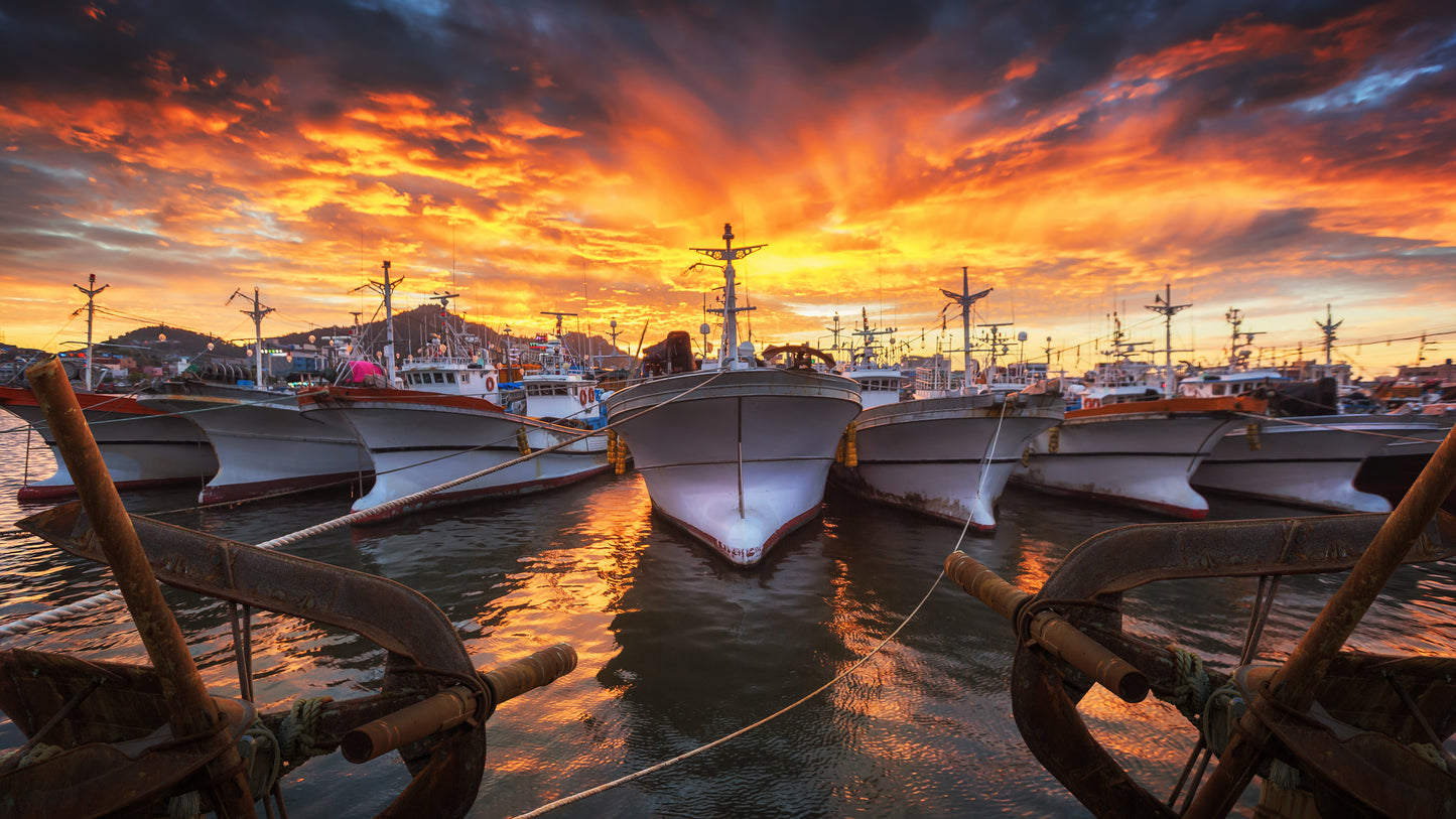 Ships in a Bay Sunset Photograph Print 100% Australian Made