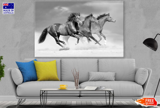 Running Horses B&W Photograph Print 100% Australian Made