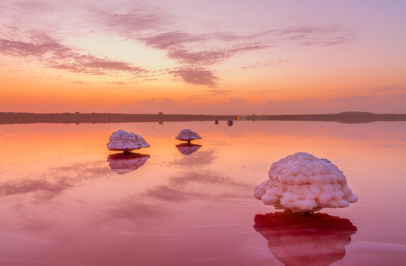 Mushroom-shaped Salt Formation in the Masazir Lake, Azerbaijan Photograph Print 100% Australian Made