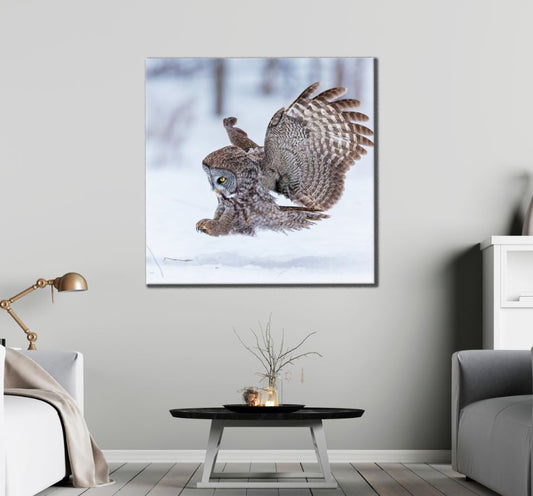 Square Canvas Flying Owl on Snow Photograph High Quality Print 100% Australian Made