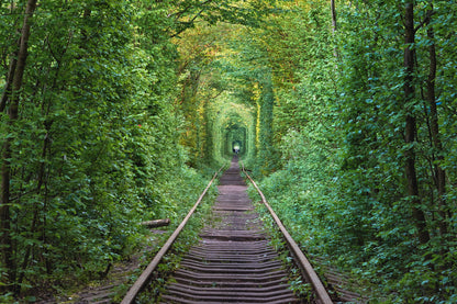 Railway Track Between Forest Print 100% Australian Made