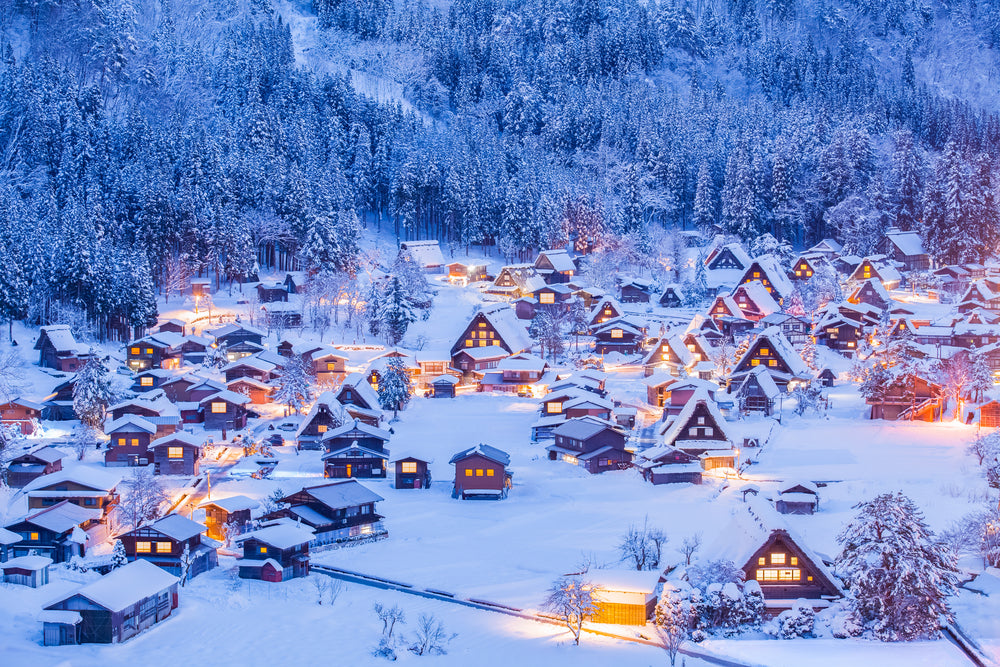 Village Covered in Snow Scenery Photograph Home Decor Premium Quality Poster Print Choose Your Sizes