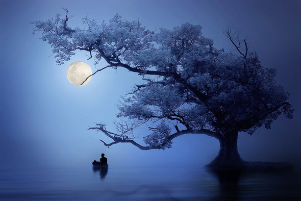 Tree & Man Lone in a Rive Moon lIght Painting Print 100% Australian Made