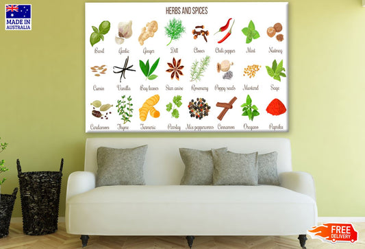 Herbs and Spices Vector Art Print 100% Australian Made
