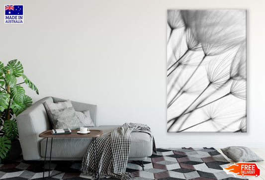 Dandelion Flowers B&W Photograph Print 100% Australian Made