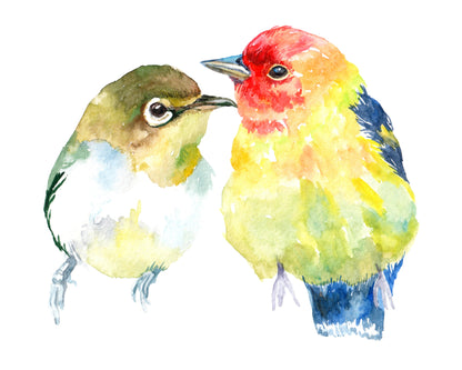 Square Canvas Birds Watercolor Painting High Quality Print 100% Australian Made