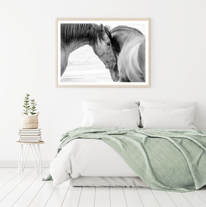 Horses Closeup B&W Photograph Home Decor Premium Quality Poster Print Choose Your Sizes