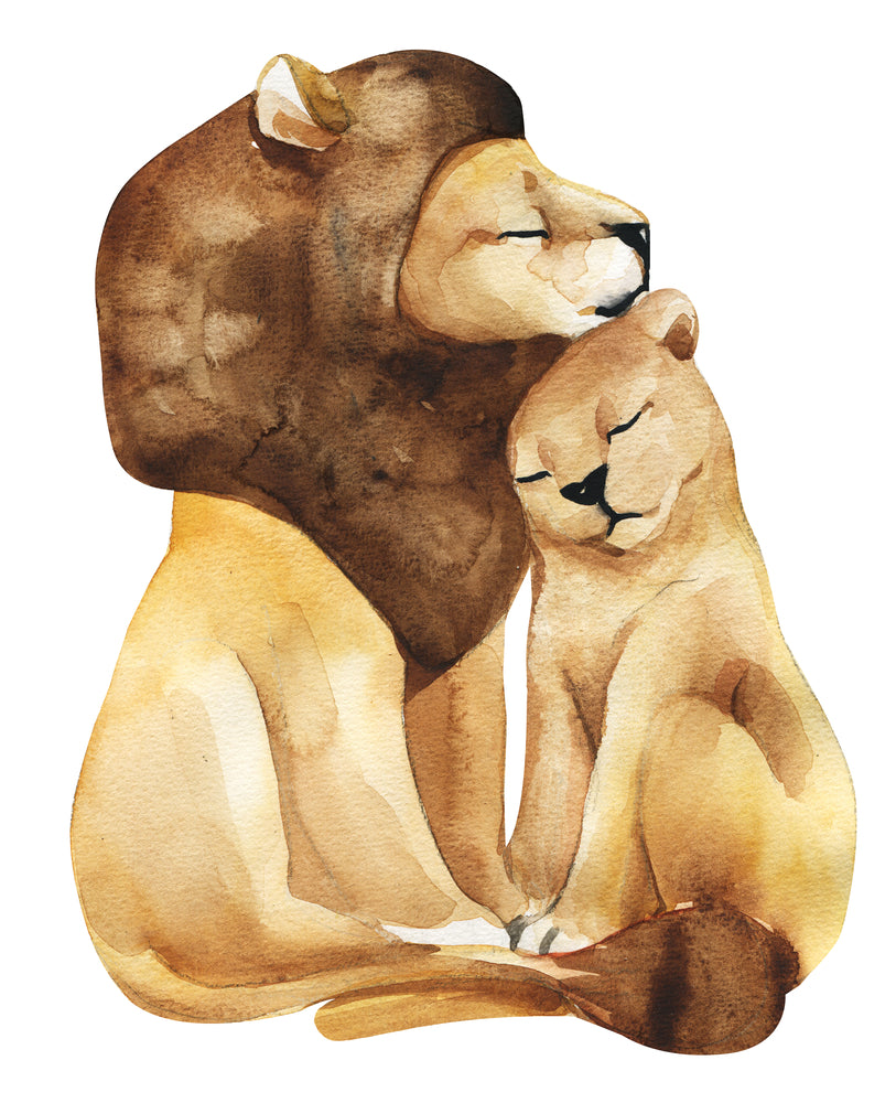 Lion & Lioness Watercolor Painting Print 100% Australian Made