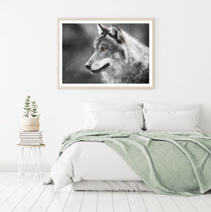 Wolf Portrait B&W Photograph Home Decor Premium Quality Poster Print Choose Your Sizes