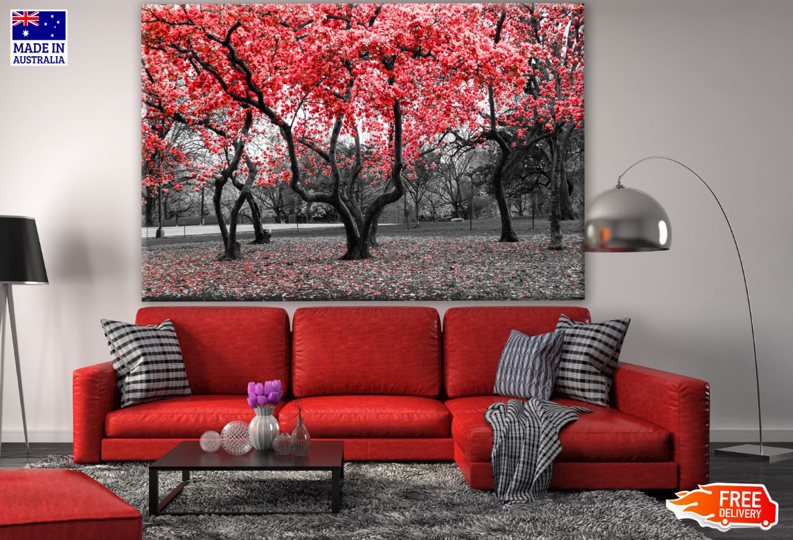 B&W Trees with Red Leaves Photograph Print 100% Australian Made