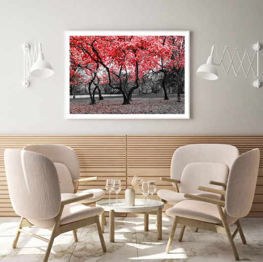 Red Leaves Tree Park B&W Photograph Home Decor Premium Quality Poster Print Choose Your Sizes