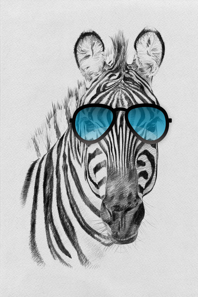 B&W Zebra Portrait with Blue Sunglasses Print 100% Australian Made