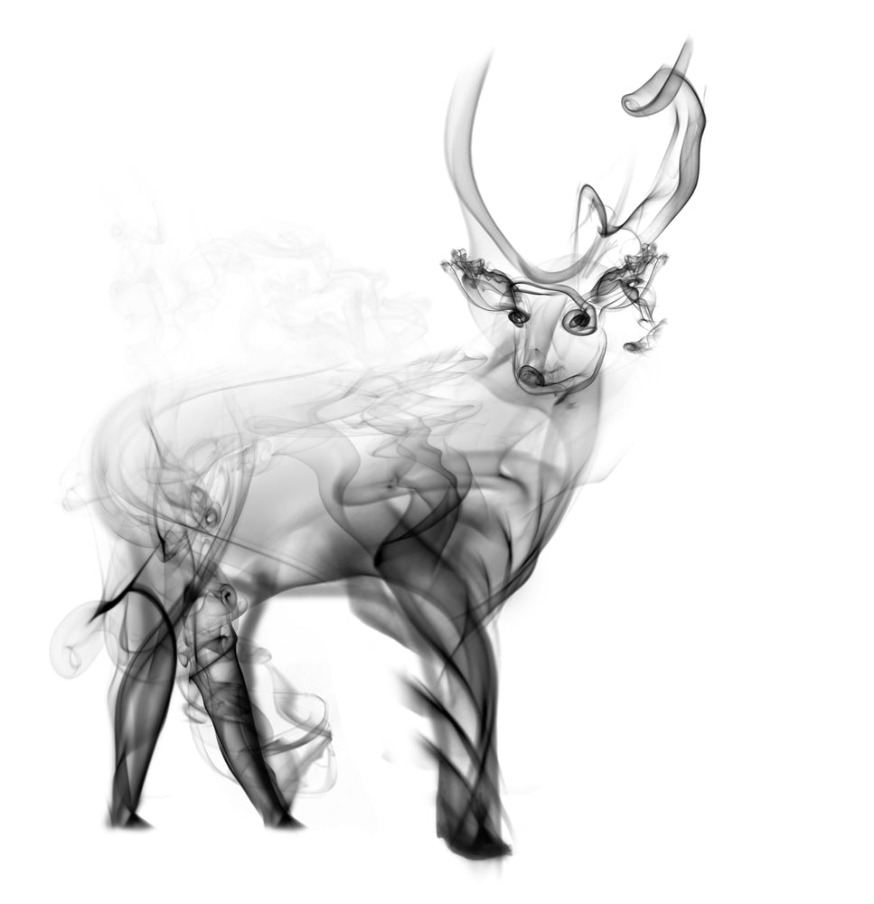 Square Canvas Deer Smoke Abstract B&W Design High Quality Print 100% Australian Made