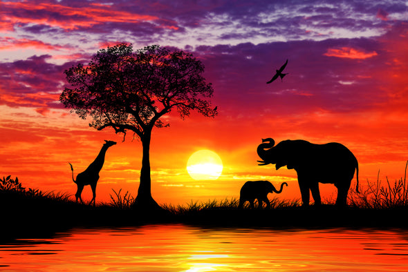 Elephants, Giraffe & Bird in Sunset Painting Print 100% Australian Made