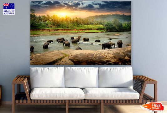 Elephants in a River Photograph Print 100% Australian Made