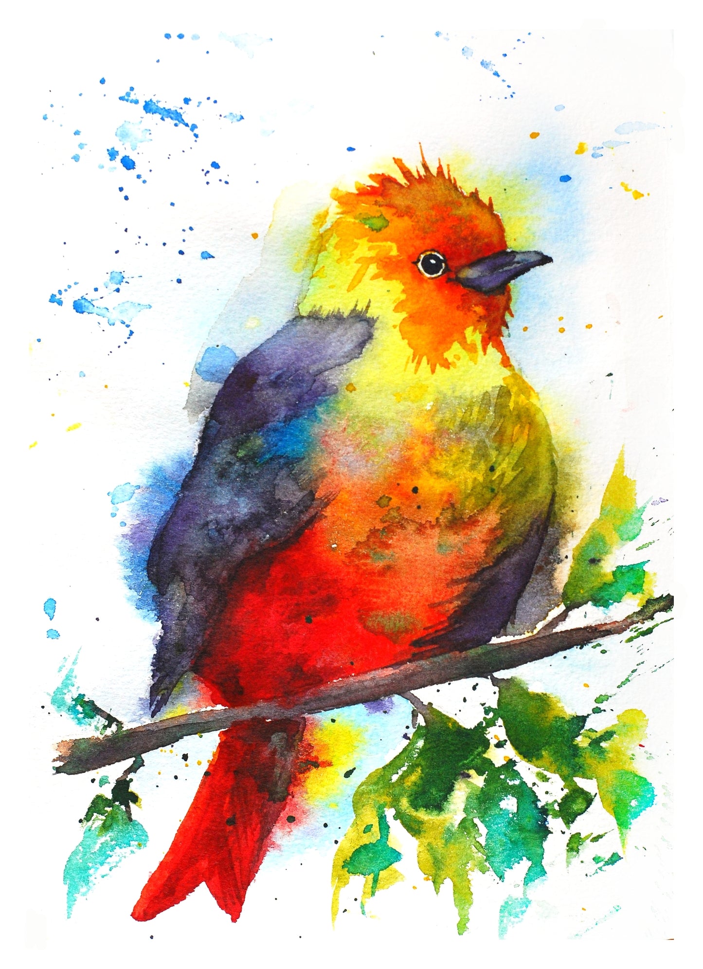 Colorful Bird Watercolor Painting Print 100% Australian Made