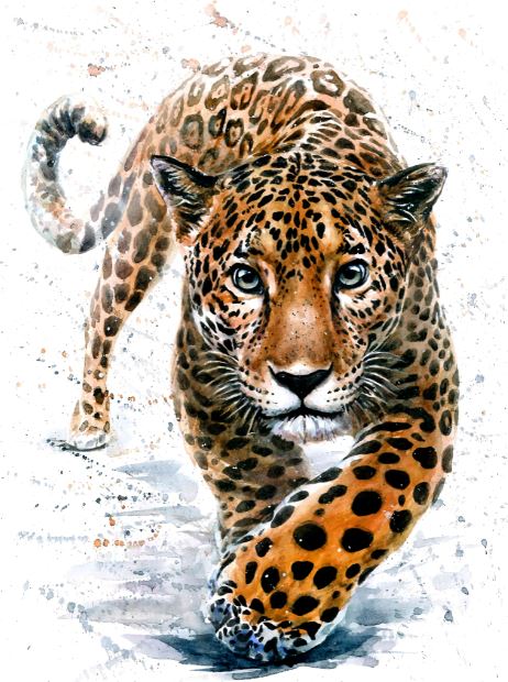 Leopard Watercolor Painting Print 100% Australian Made