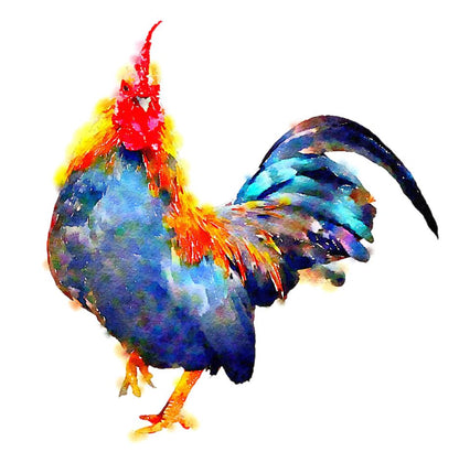 Square Canvas Rooster Watercolor Painting High Quality Print 100% Australian Made