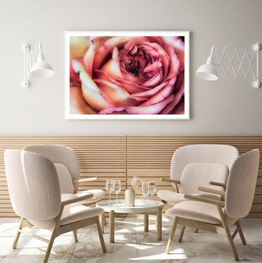 Rose Flower Closeup Photograph Home Decor Premium Quality Poster Print Choose Your Sizes