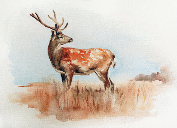 Deer Looking Back Painting Print 100% Australian Made
