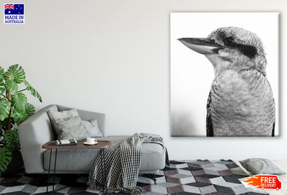 Kingfisher Bird Portrait B&W Photograph Print 100% Australian Made