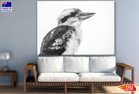 Australian Kookaburra B&W Photograph Print 100% Australian Made