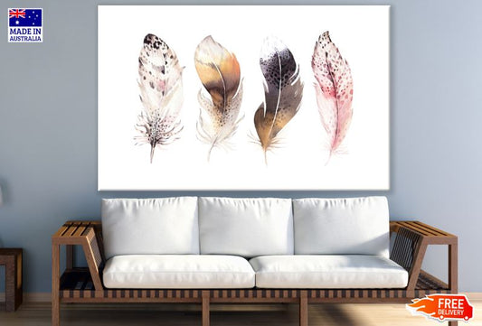 Colorful Feathers Watercolor Painting Print 100% Australian Made