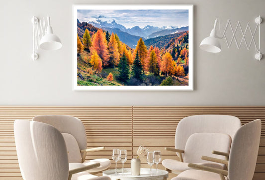 Colorful Trees in Hill Photograph Home Decor Premium Quality Poster Print Choose Your Sizes