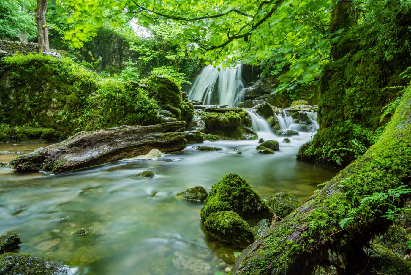 Waterfall in Amazing Rain Forest Photograph Print 100% Australian Made