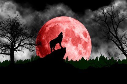 Wolf & Red Moon Vector Art Print 100% Australian Made