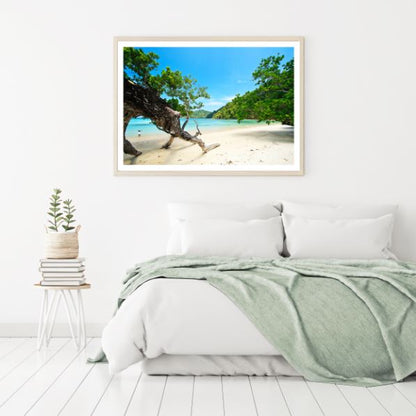 Trees & Sea Scenery Photograph Home Decor Premium Quality Poster Print Choose Your Sizes