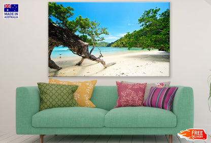 Trees on Beach Photograph Print 100% Australian Made