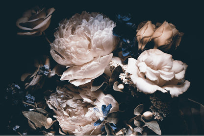 Pink Flower Bunch Closeup Photograph Print 100% Australian Made