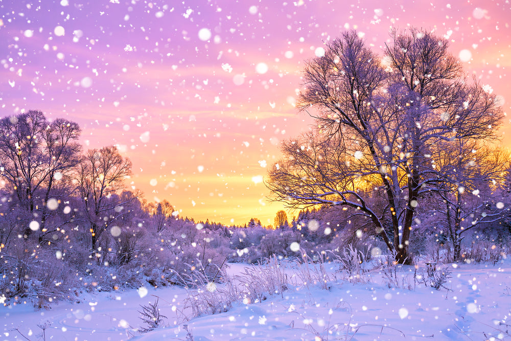 Snowy Environment Sunset Photograph Print 100% Australian Made