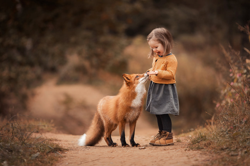 Girl Feeding Fox Photograph Print 100% Australian Made