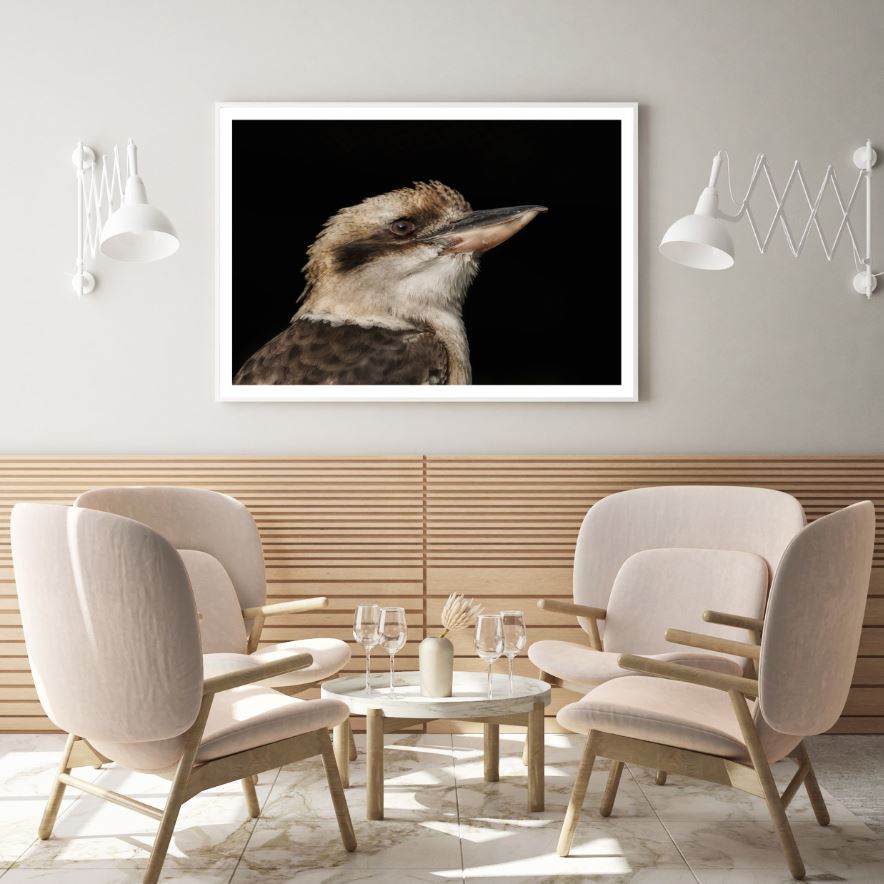 Kookaburra Bird Photograph Home Decor Premium Quality Poster Print ...