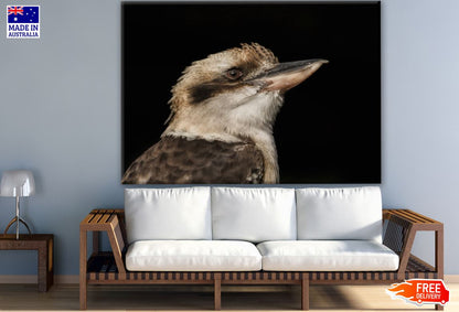 Kookaburra Bird Portrait Photograph Print 100% Australian Made